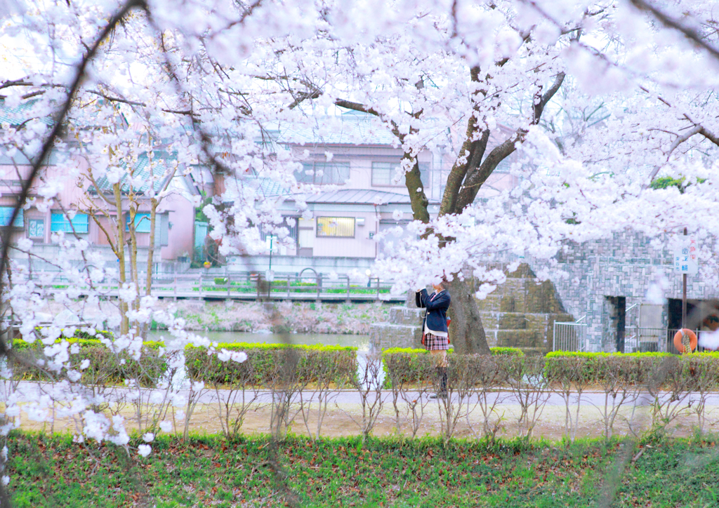 花の女子高生