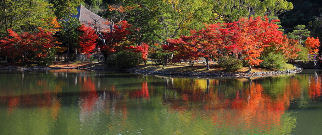 白水の阿弥陀堂（２０１３年）１