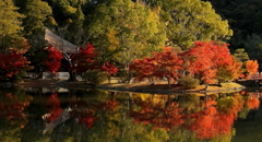 白水の阿弥陀堂（2012年）１