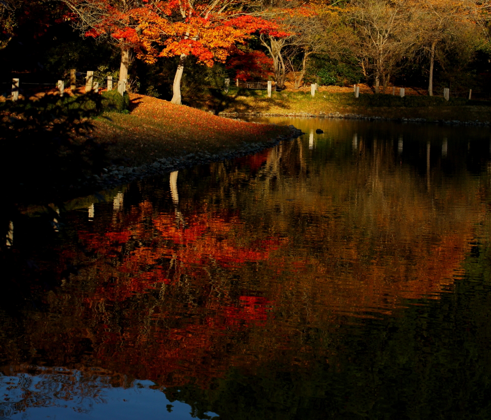 白水の阿弥陀堂（2012年）２