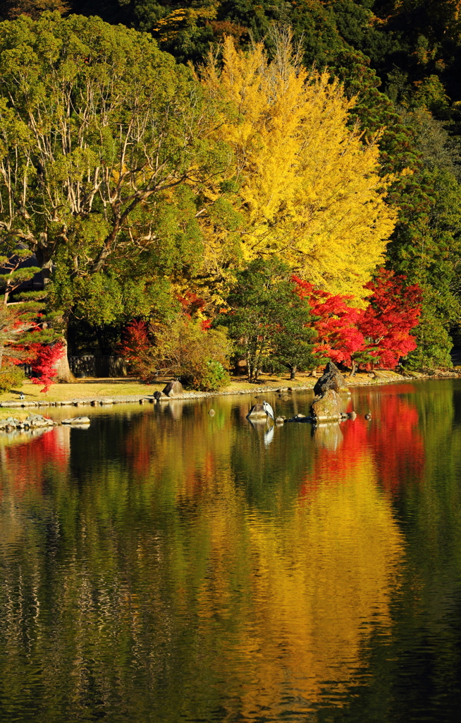 白水の阿弥陀堂（２０１３年）　2