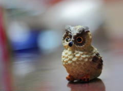 EF50mm F1.8 Ⅱレンズで初撮り