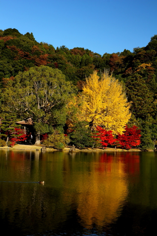 白水の阿弥陀堂（2012年）３