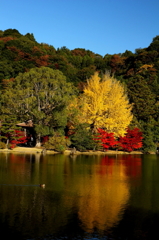 白水の阿弥陀堂（2012年）３