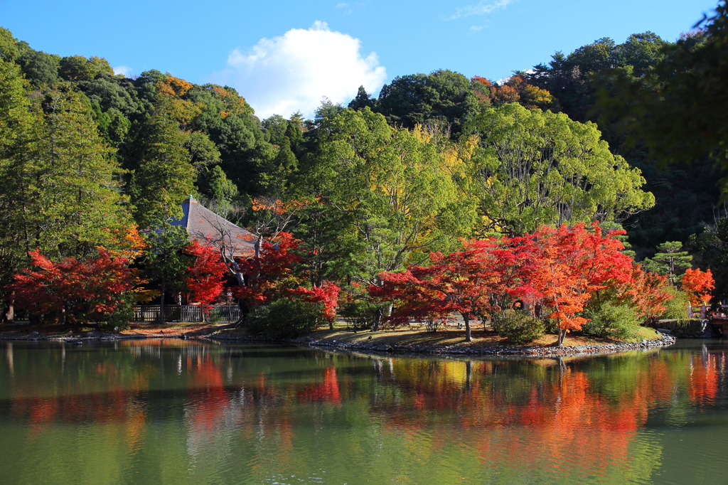 白水の阿弥陀堂 ３