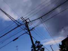 電線の幾何学