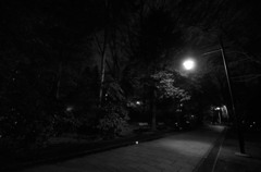 井の頭恩賜公園（夜）