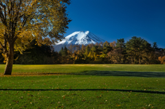 富士山と富士吉田市の秋