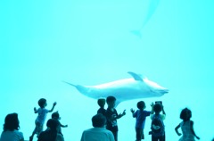 水族館