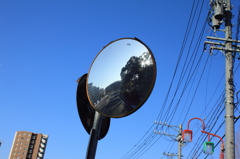 鏡の世界