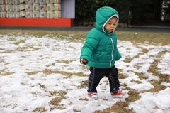 せがれ　初雪