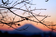 Mt.Fuji