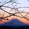 Mt.Fuji