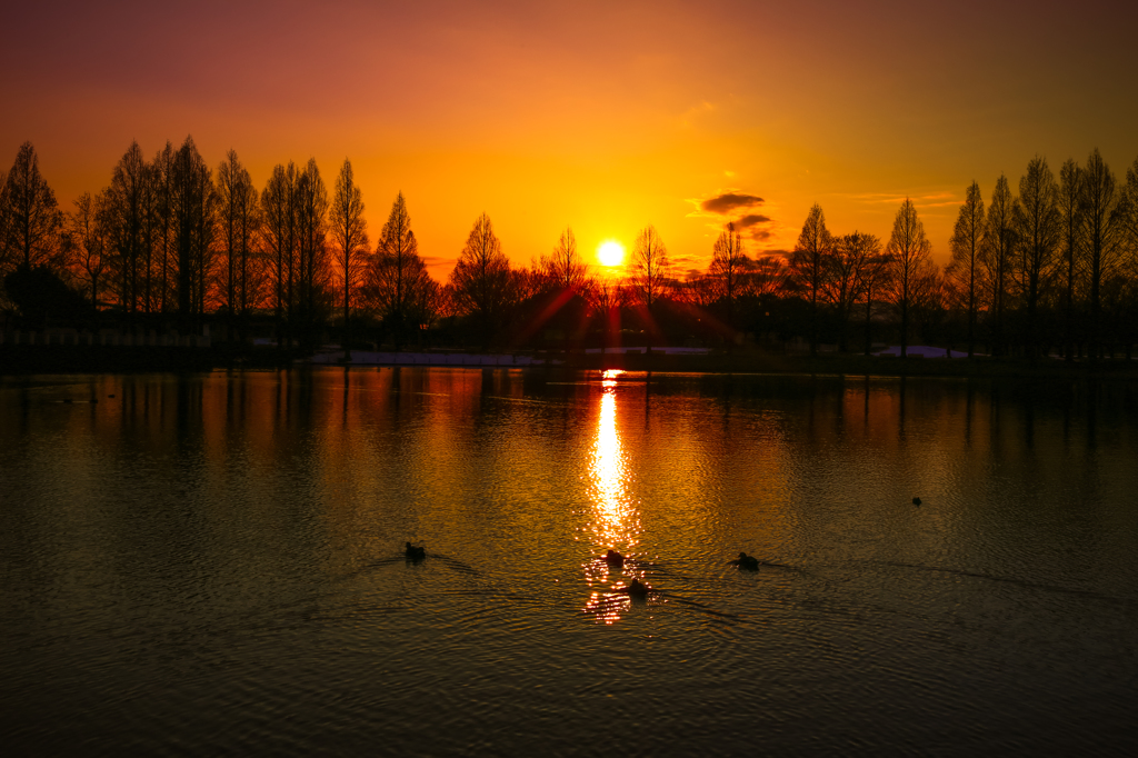 Sunset