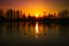 Sunset