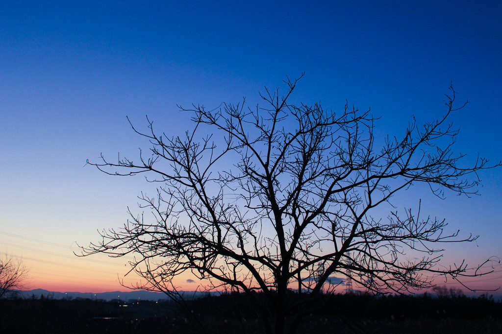 Magic Hour