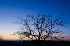 Magic Hour