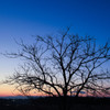 Magic Hour