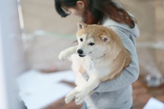 無垢