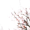 春もうちょっと