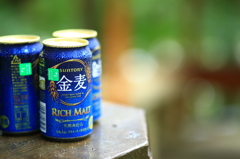 朝靄