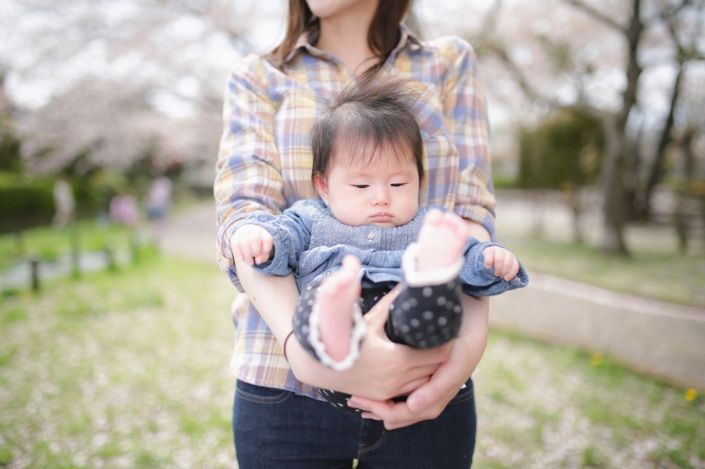 芽
