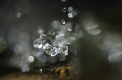 水晶の雫