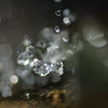 水晶の雫