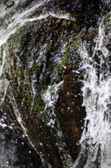 青い水飛沫