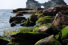 緑と茶と青と、円月島