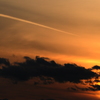 CSC_6323