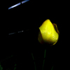 20200418_Q_01_03