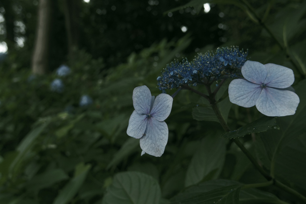 20190721_03