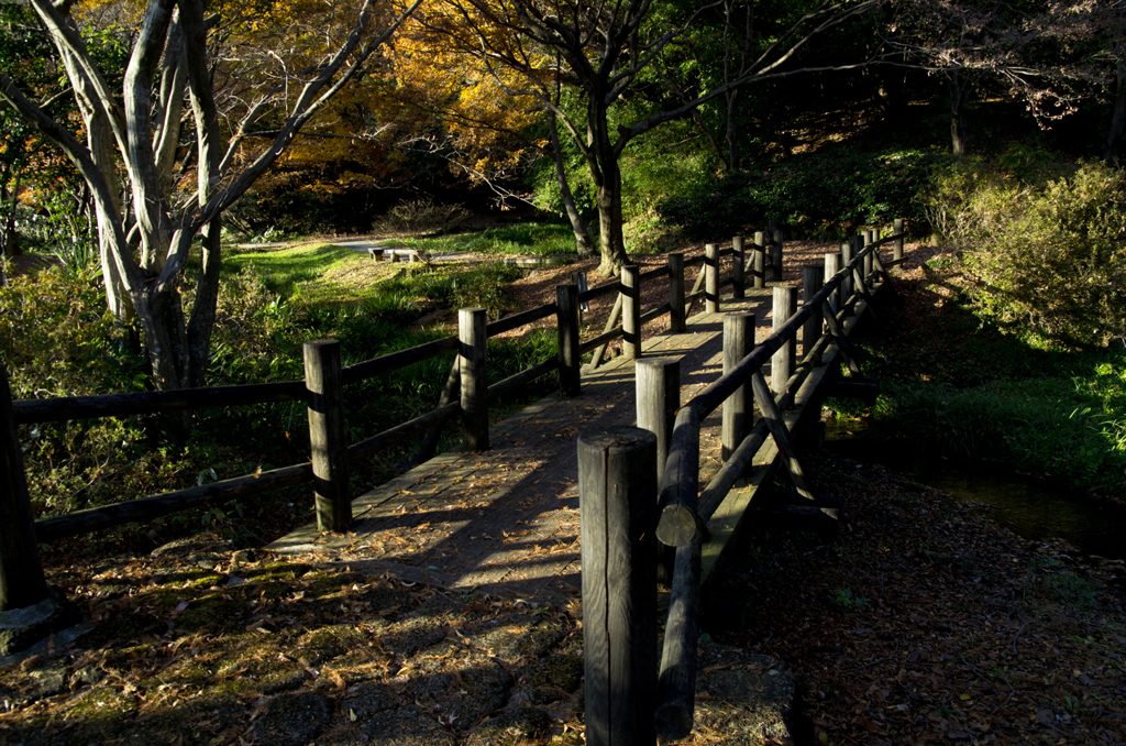 20191214_K5_sigma17-70_02