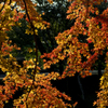 20191214_K5_sigma17-70_05