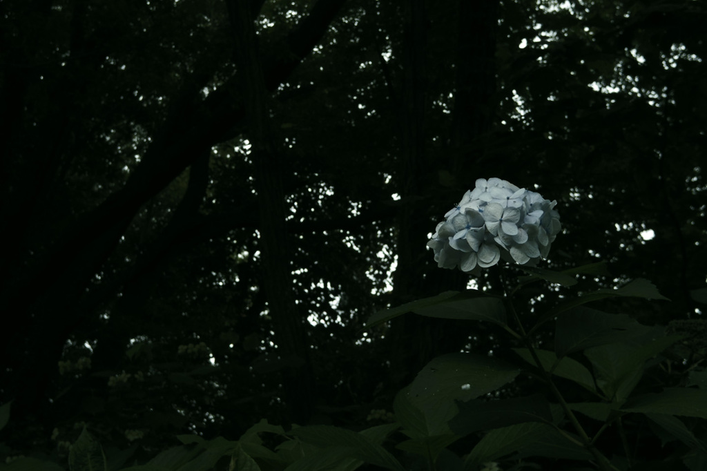 20190721_02