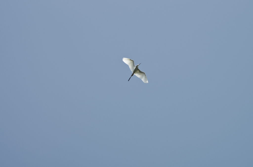 20200425_K5_M135_08