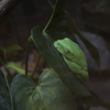 20191014_Q_04