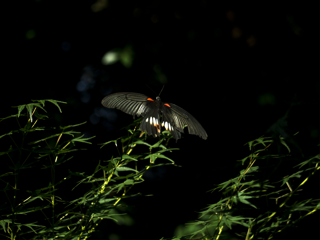 20190916_Q_02