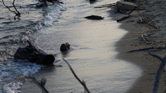 秋の海