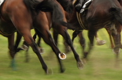 Horseshoe