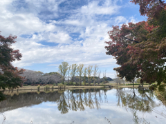 開店までの時間、公園で過ごす。 #1