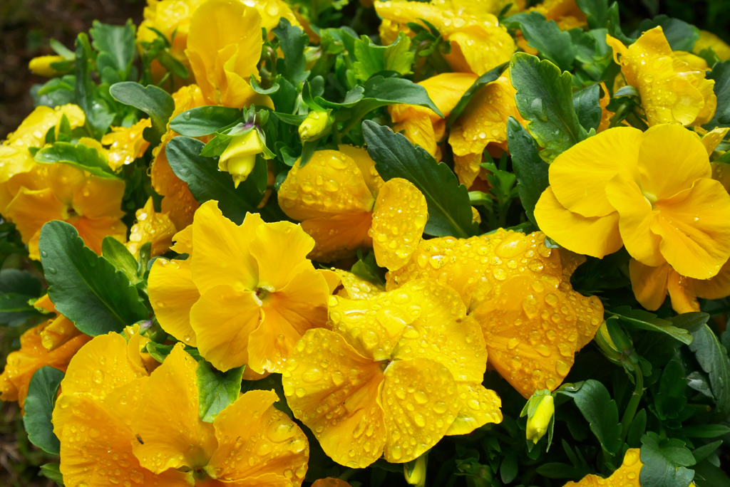 saturated colors　#03