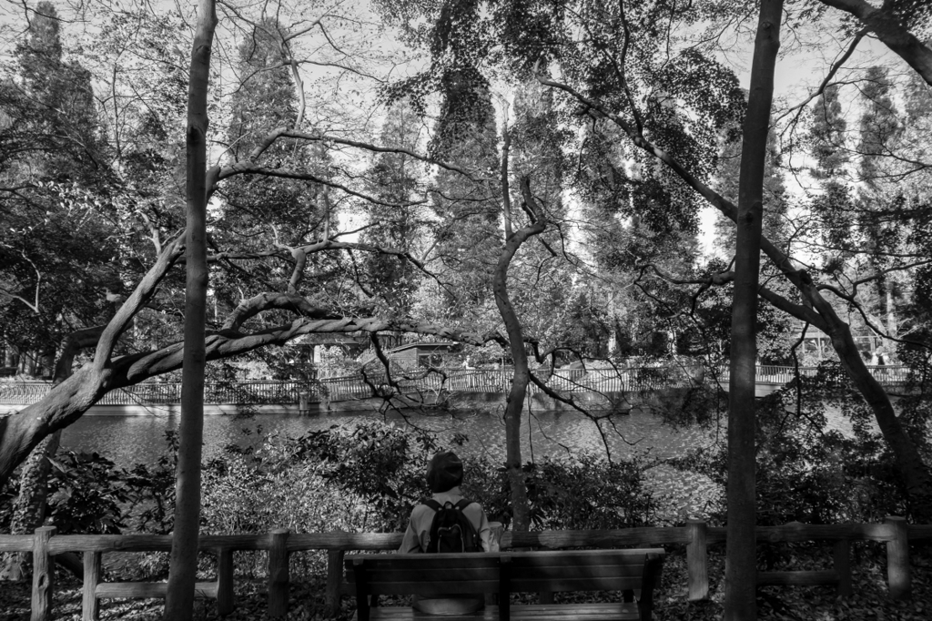 Memories of Kichijyoji #4