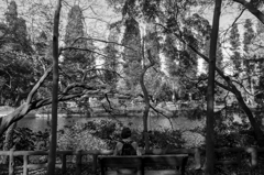 Memories of Kichijyoji #4