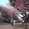 mamiya 645 #04