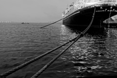 Yokohama snapshot #18