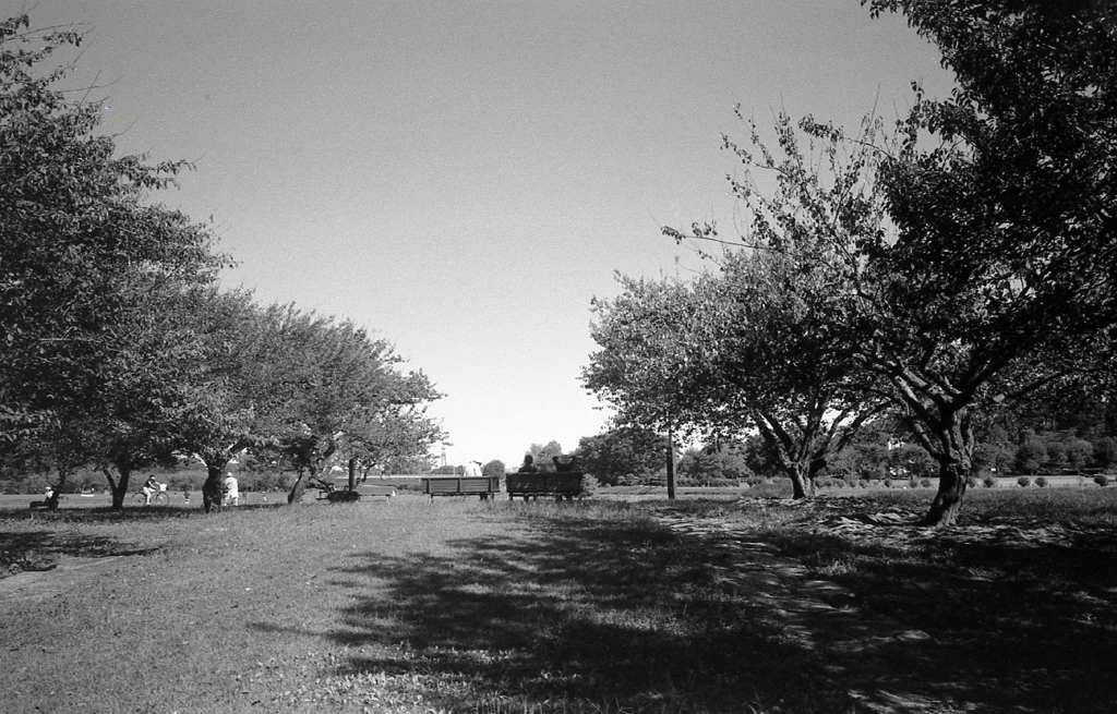 RICOH GR1s #34