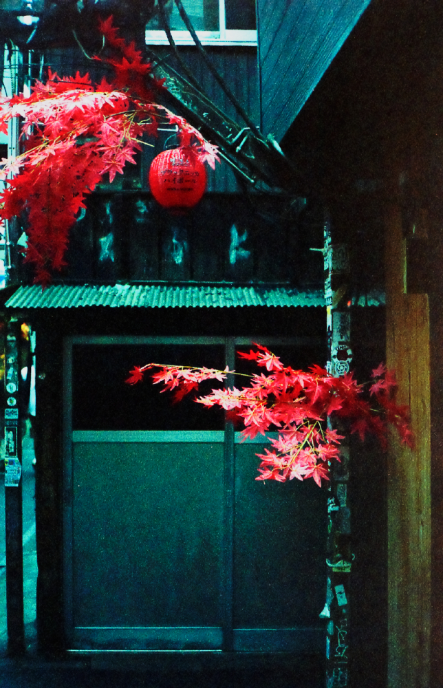 RICOH ELNICA F #4