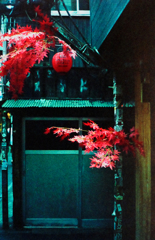 RICOH ELNICA F #4